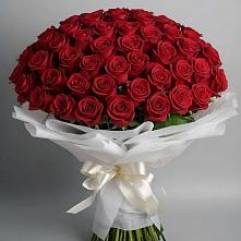 Букет 101 Красная роза Блэк Мэджик в Песковке