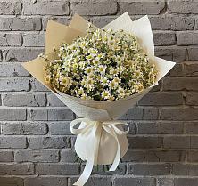 Букет цветов из:  Ромашки #REPLACE_PRED# Песковке