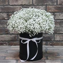 Цветочная композиция из Гипсофила в шляпной коробке в Песковке